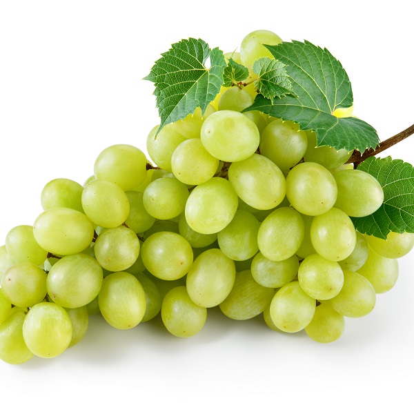 White Grappes