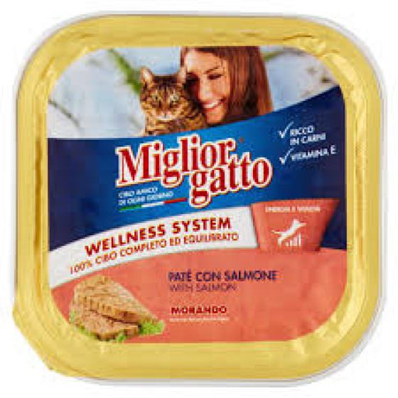 MIGLIOR GATTO CAT FOOD PATE SALMON 100g